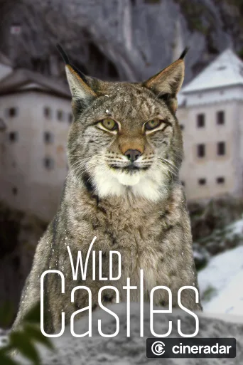 Wild Castles