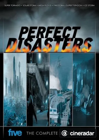 Perfect Disaster