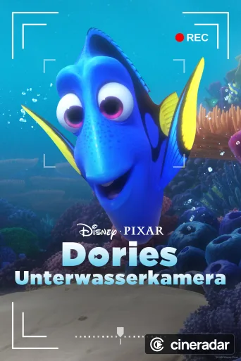 Dories Unterwasserkamera