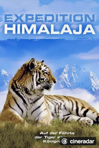 Lost Land of the Tiger