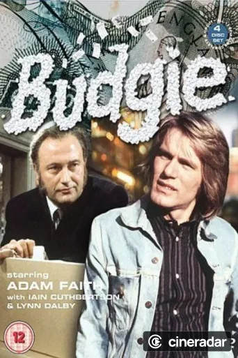 Budgie