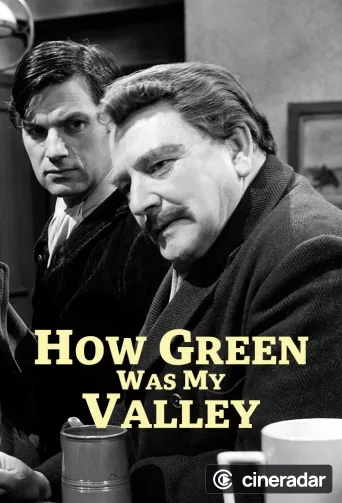 How Green Was My Valley