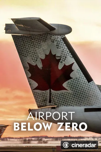 Airport: Below Zero