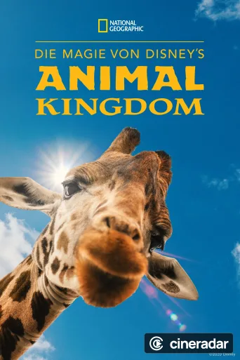 La Magia de Animal Kingdom de Disney