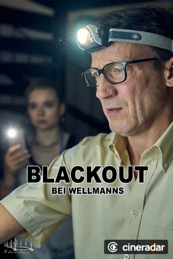 Blackout bei Wellmanns